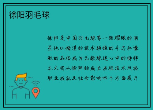 徐阳羽毛球